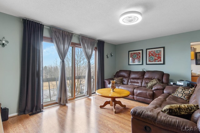 living room featuring light hardwood / wood-style floors and a textured ceiling