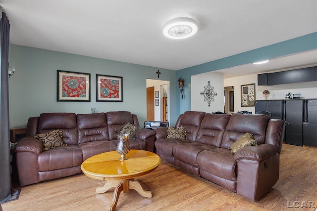 living room with light hardwood / wood-style flooring