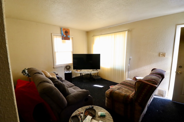 living room featuring a textured ceiling