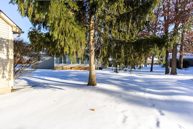 view of snowy yard