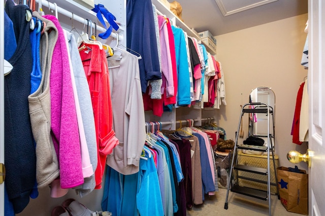 spacious closet featuring attic access and carpet floors