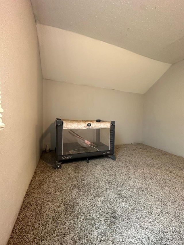 interior details featuring a textured ceiling and carpet