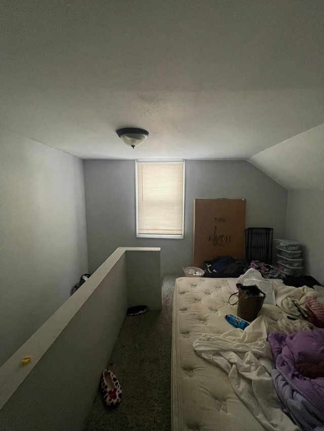19307 Mansfield St, Detroit, MI 48235 - bedroom with carpet floors and lofted ceiling