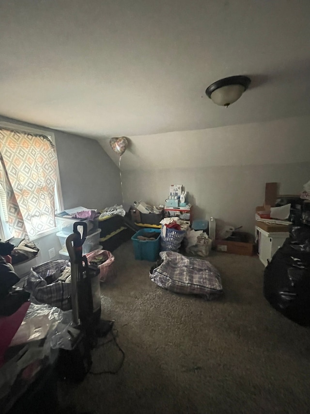 19307 Mansfield St, Detroit, MI 48235 - unfurnished bedroom with carpet floors and vaulted ceiling