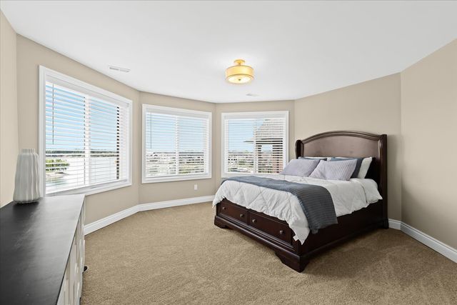 carpeted bedroom with multiple windows