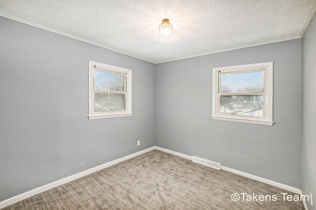 empty room featuring ornamental molding, carpet flooring, and a textured ceiling