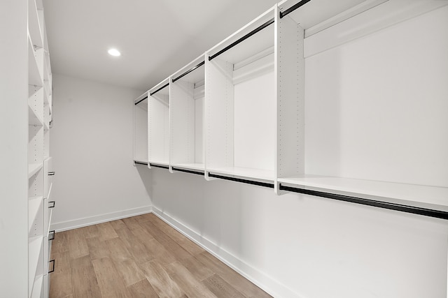 spacious closet with light wood-type flooring