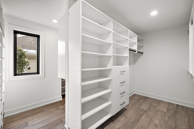 spacious closet with hardwood / wood-style flooring