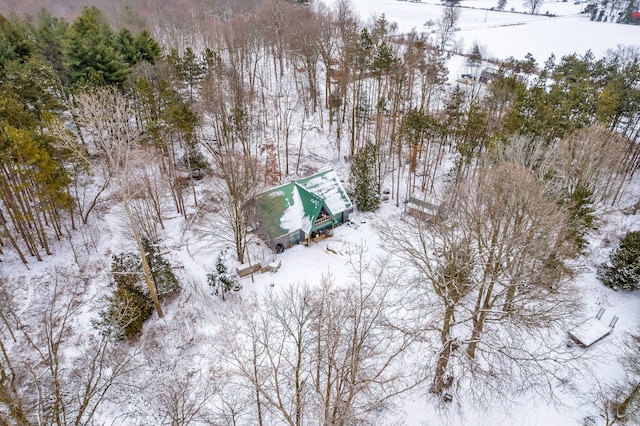 view of snowy aerial view