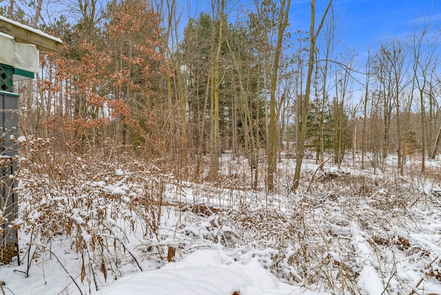 view of snow covered land