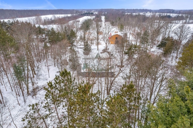 view of snowy aerial view