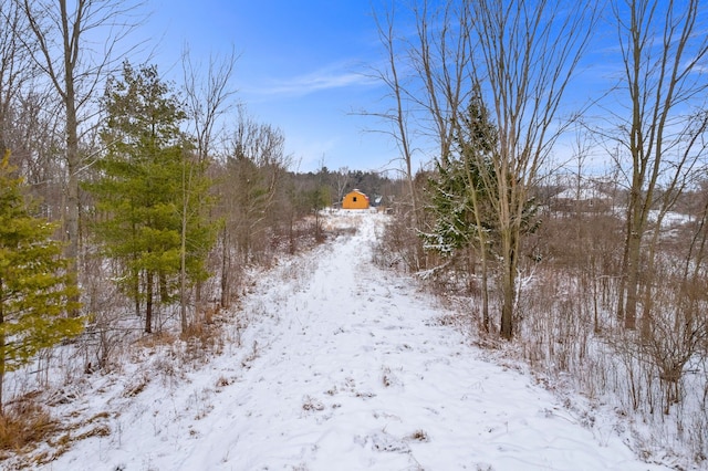 view of snow covered land