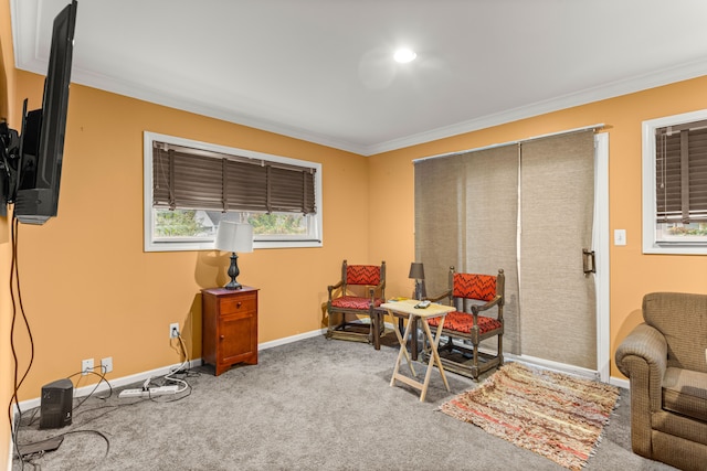 sitting room with crown molding and carpet