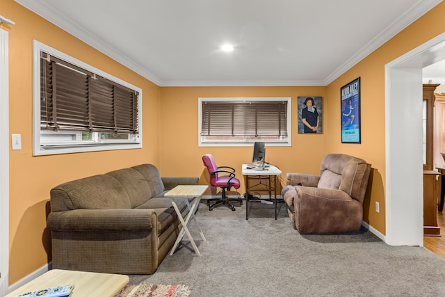 carpeted living room with crown molding