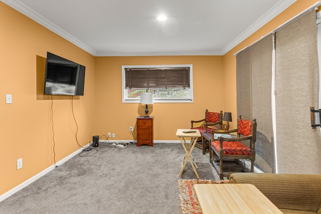 sitting room with ornamental molding and carpet floors