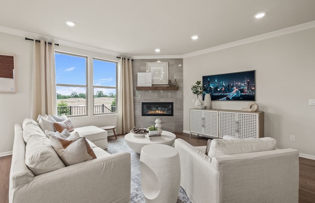 living room featuring crown molding, dark wood-type flooring, and a fireplace