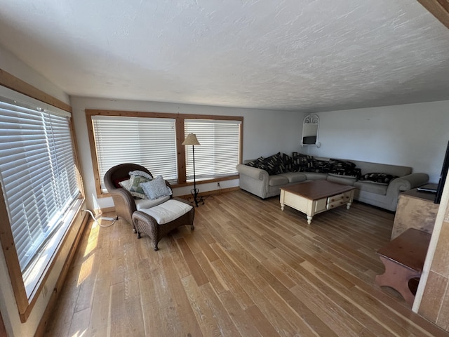 living room featuring hardwood / wood-style flooring and a textured ceiling