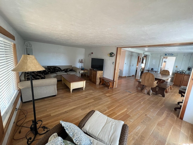 living room featuring hardwood / wood-style flooring and a textured ceiling