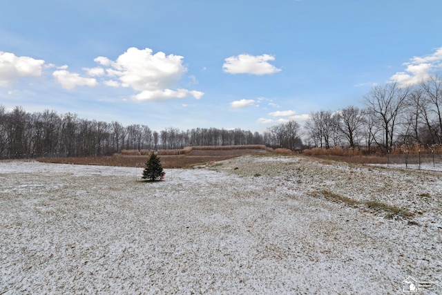 view of yard with a rural view