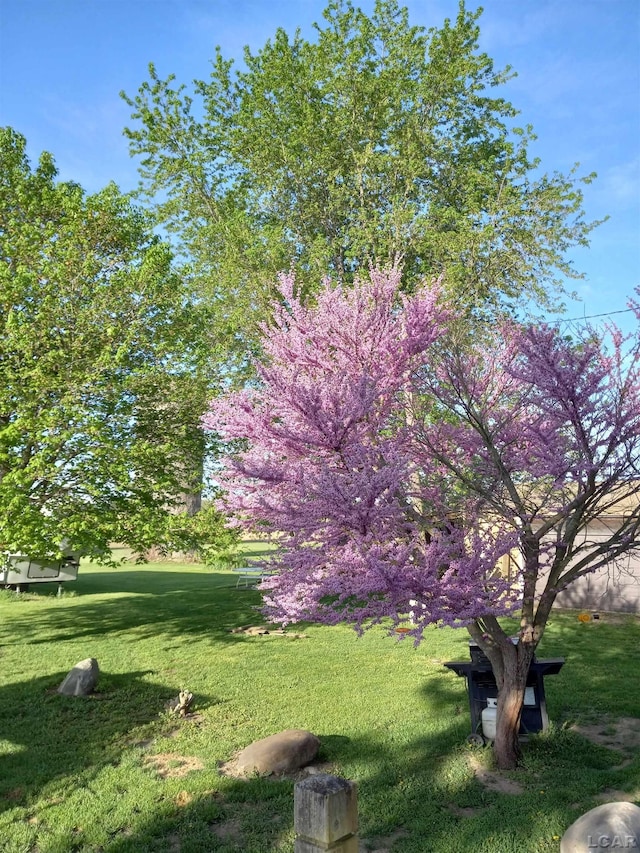 view of community with a lawn