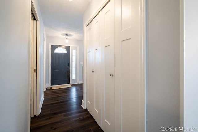 hall featuring dark hardwood / wood-style floors