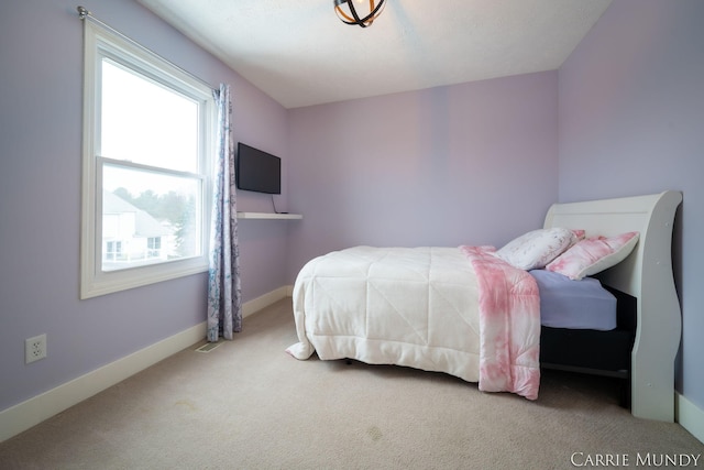 bedroom with carpet floors