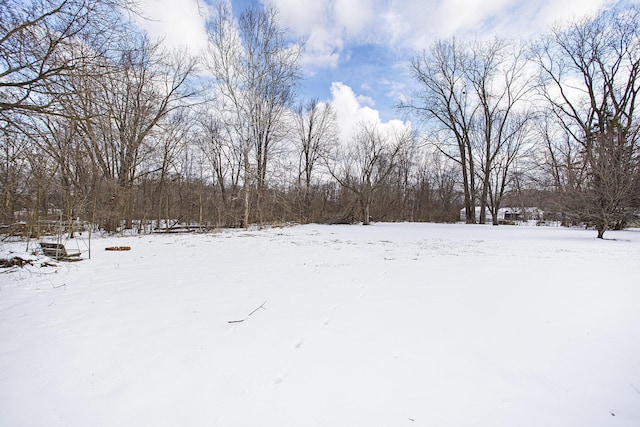 view of yard layered in snow