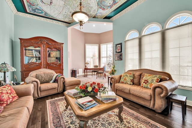 living room featuring dark wood-type flooring