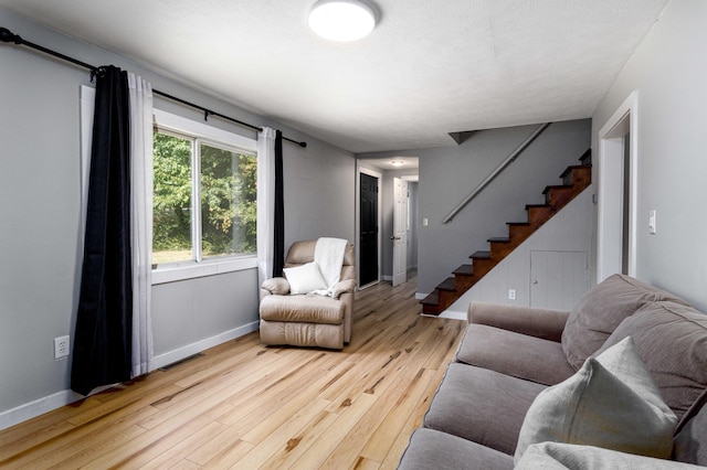 living room featuring light hardwood / wood-style flooring