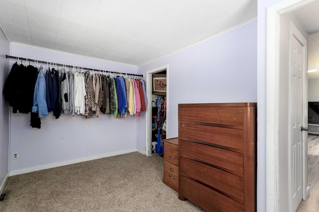 walk in closet with light carpet