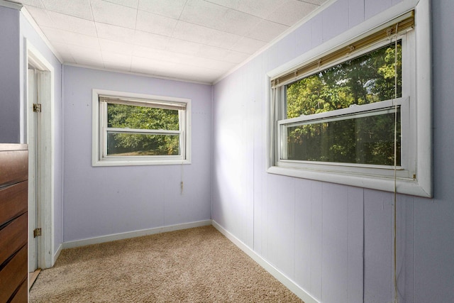 carpeted empty room with crown molding