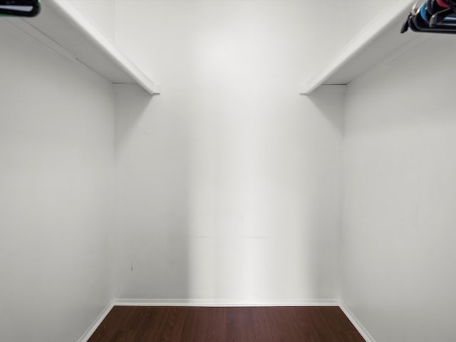 spacious closet featuring hardwood / wood-style floors