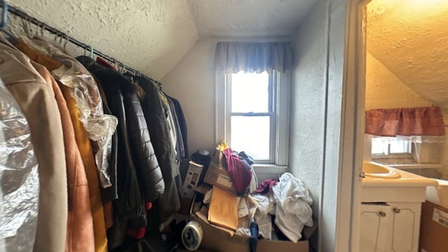 spacious closet featuring lofted ceiling