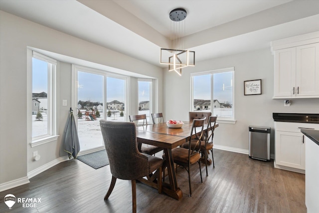 dining area with dark hardwood / wood-style flooring