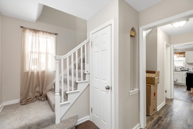 stairs featuring hardwood / wood-style flooring