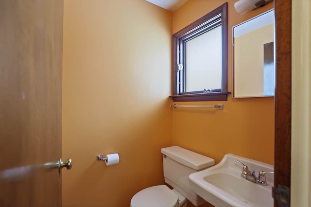 bathroom featuring sink and toilet