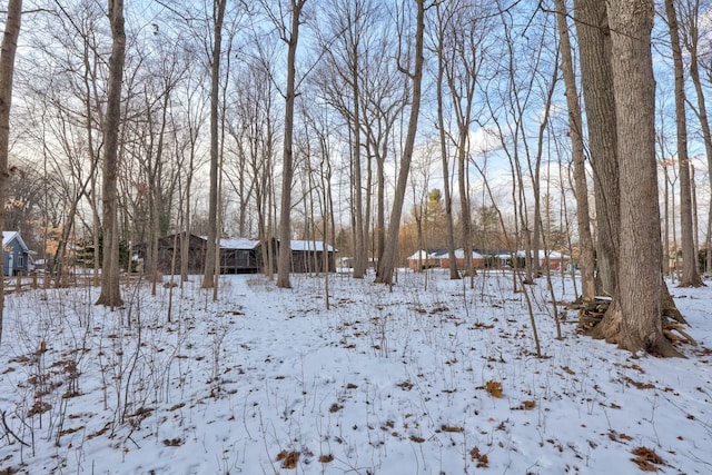 view of yard covered in snow