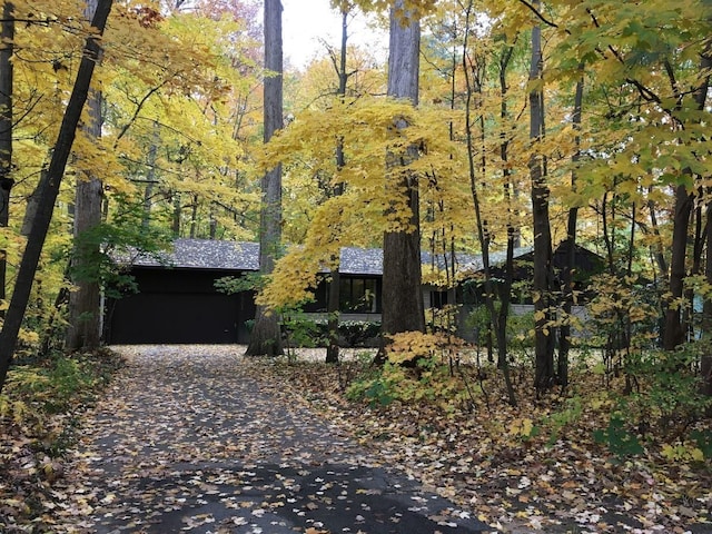 view of front facade with a garage