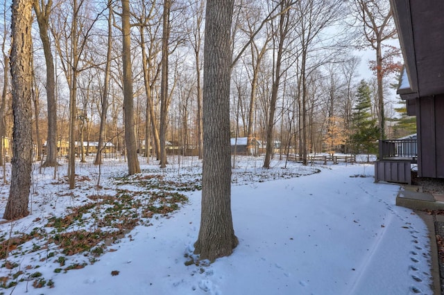 view of yard covered in snow