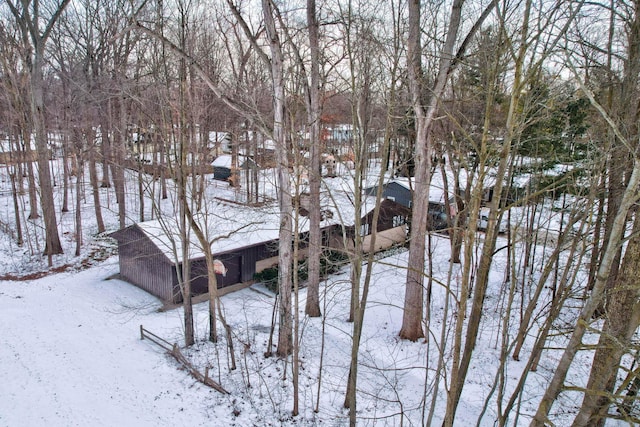 view of yard covered in snow