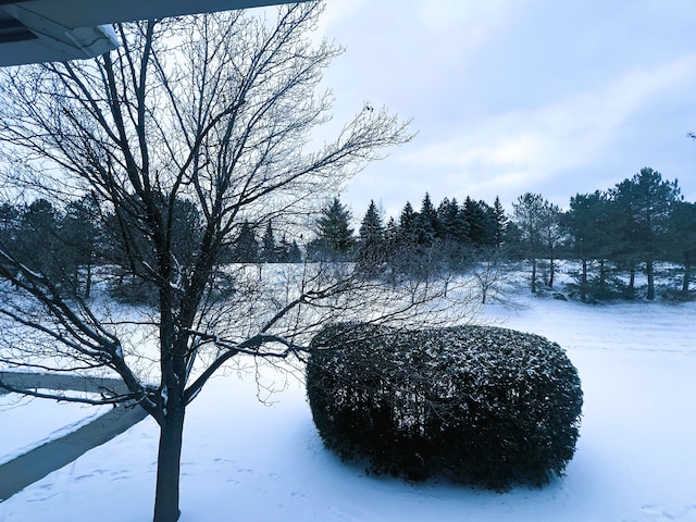 view of yard layered in snow