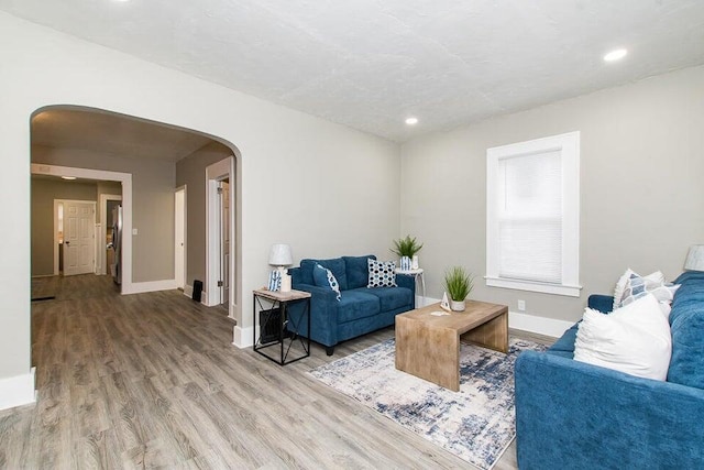 living room featuring hardwood / wood-style flooring