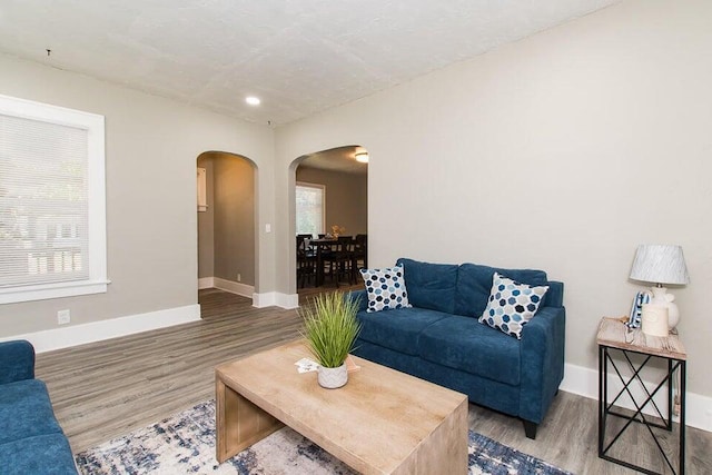 living room with hardwood / wood-style floors