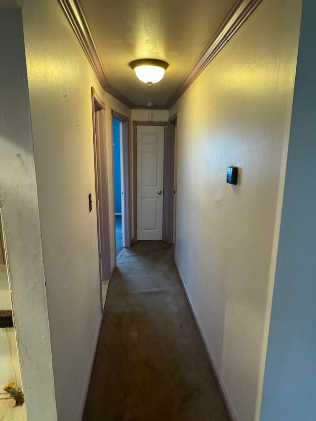 hall featuring ornamental molding and carpet floors