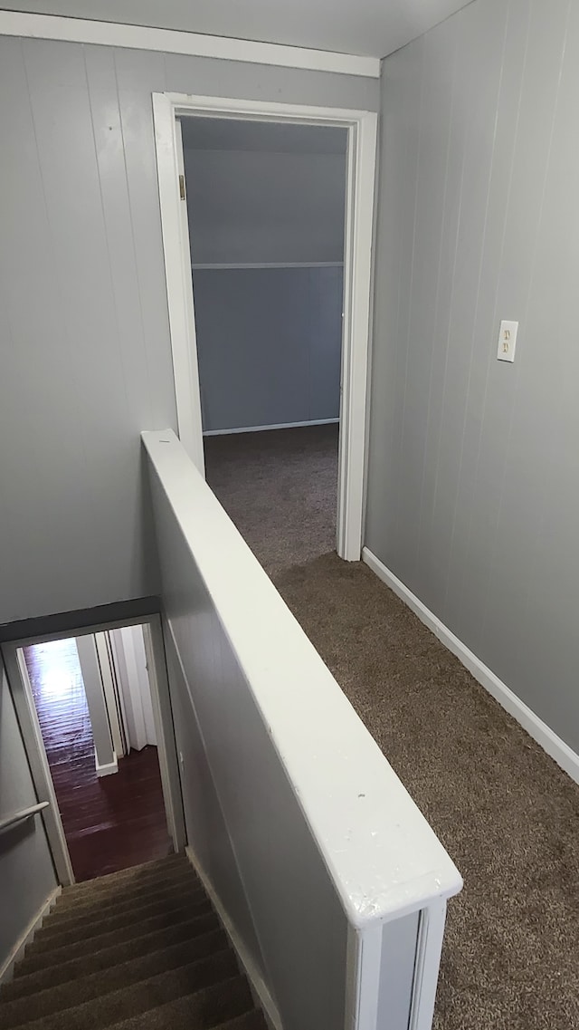 staircase featuring carpet flooring