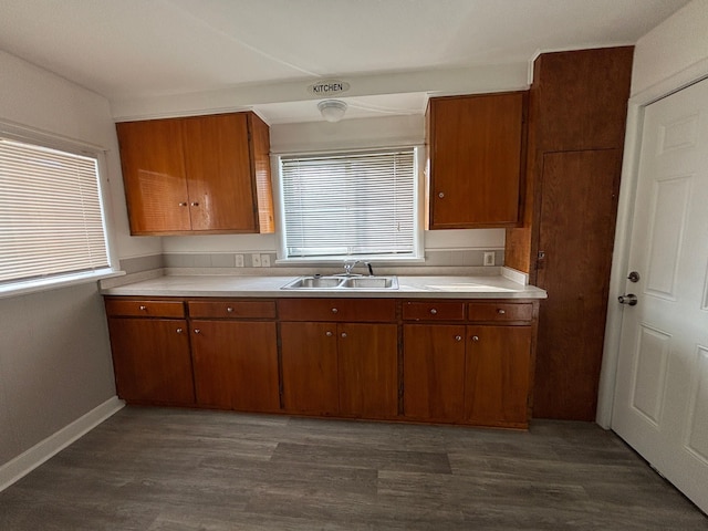 kitchen with sink and dark wood-type flooring