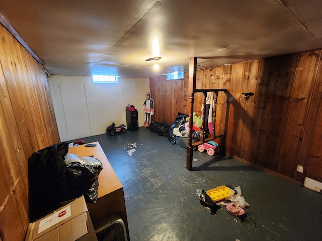 basement with wooden walls