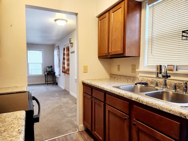 kitchen with carpet, sink, and range