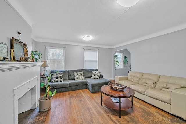 living room featuring hardwood / wood-style floors