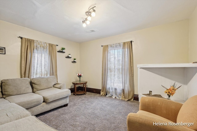 living room featuring carpet floors